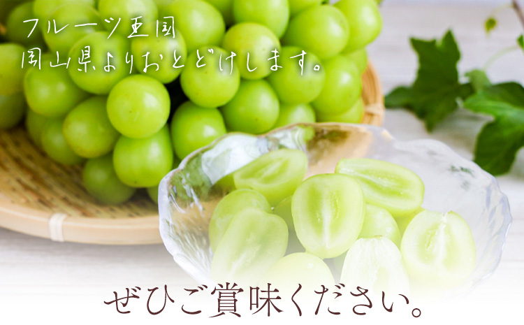 【先行予約】シャイン マスカット 晴王 2房（1房550g以上）マスカット ブドウ 葡萄 岡山県産 国産 フルーツ 果物 ギフト 桃茂實苑《7月上旬-8月中旬頃出荷》岡山県 浅口市 フルーツ ぶどう 果物 青果 旬 葡萄 国産 岡山県産【配送不可地域あり】---124_c2130_7a8b_25_49000_2p---
