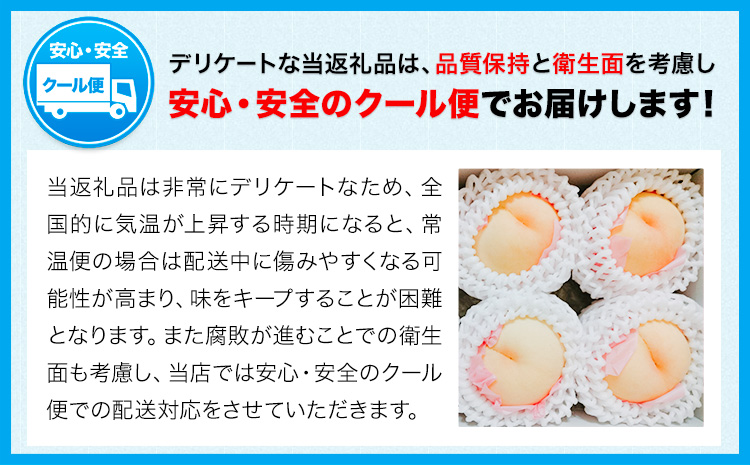 【先行予約】白桃 約2kg もも モモ 岡山 国産 フルーツ 果物 桃茂實苑《6月中旬-8月下旬頃出荷》岡山県 浅口市 フルーツ モモ 果物 青果 旬 白桃 国産 岡山県産【配送不可地域あり】---124_c2128_6b8c_25_38000_2kg---