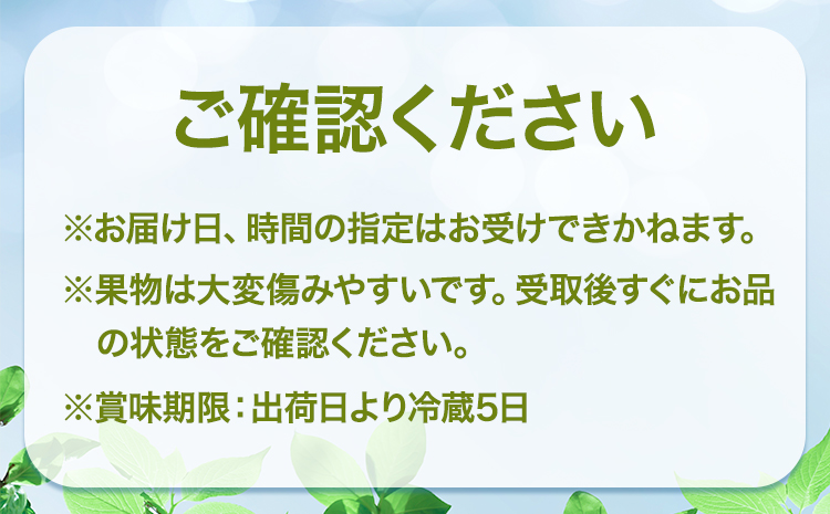 【先行予約】シャインマスカット ＆ ニューピオーネ 各１房 計約1.2kg《9月中旬-10月上旬頃出荷》テレビせとうち株式会社 冷蔵 果物 ブドウ 送料無料 岡山県 浅口市 シャインマスカット【配送不可地域あり】---124_c2524_9b10a_25_20000_2p---