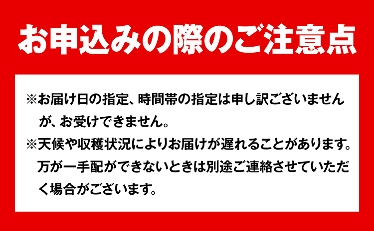 【令和7年度先行予約】岡山県産 白桃 (早生種) 約1.3kg  晴れの国 おかやま館(漂流岡山)《2026年7月上旬-７月下旬頃出荷》【配送不可地域あり】（離島）---124_c2187_7a7c_25_17500_1300g---
