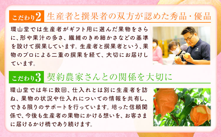 【2026年先行予約】秋の ニューピオーネ 1房 約600g 環山堂株式会社《2026年8月下旬-9月下旬頃出荷》ぶどう  ピオーネ フルーツ 果物 ---124_c2267_8c9c_25_12000_30---