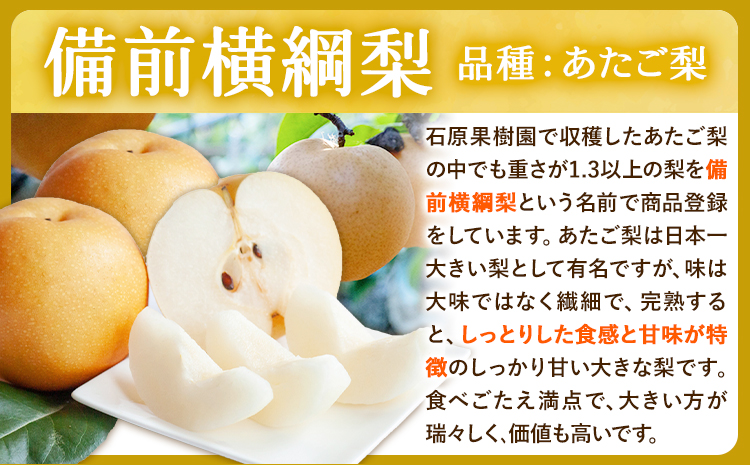 【2026年先行予約】梨 横綱梨 先行予約 1玉(1～1.5㎏玉） 特選箱 石原果樹園 《2026年11月中旬-12月下旬頃より発送予定》---124_3186_11b12c_25_16000_1tm---