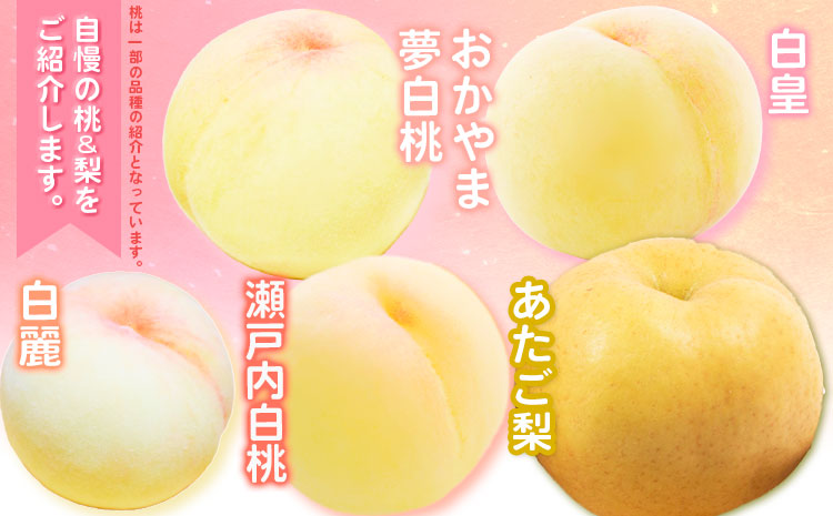 【2026年先行予約】定期便5回 マスカット・オブ・アレキサンドリア 白桃 ニューピオーネ 瀬戸ジャイアンツ 晴王 梨 《2026年7月上旬から11月下旬出荷》【配送不可地域あり】（北海道・沖縄・離島）---124_c1867_7a11c_25_112500_tei---