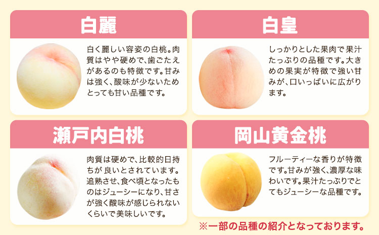 【2026年先行予約】岡山の桃食べ比べ定期便3回コース 株式会社山博 (中本青果)《2026年7月上旬-9月下旬頃出荷》岡山県 浅口市 桃 もも フルーツ 旬 果物 国産 岡山県産 送料無料 冷蔵 食べ比べ 定期便 定期【配送不可地域あり】（北海道・沖縄・離島）---124_c1838_7a9c_26_90000_tei---