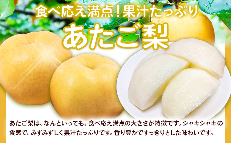 【2026年先行予約】定期便3回コース(隔月)  岡山の白桃8玉 シャインマスカット 晴王 2房 あたご梨 《2026年7月上旬から11月下旬出荷》【配送不可地域あり】（北海道・沖縄・離島）---124_c1877_7a11c_25_82500_tei---