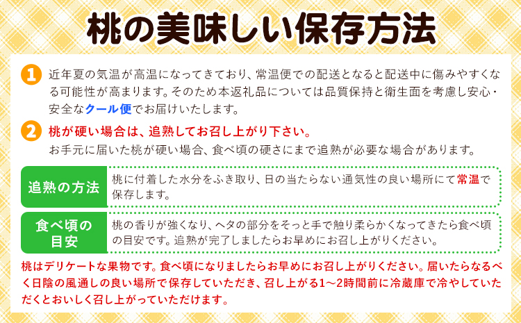 【2026年先行予約】岡山の白桃2回コース 8玉 (1.7kg以上) 株式会社山博 (中本青果)《2026年7月上旬から8月上旬出荷》岡山県 浅口市 桃 もも フルーツ 送料無料 冷蔵 定期便【配送不可地域あり】（北海道・沖縄・離島）---124_c1845_7a8a_25_54500_tei---