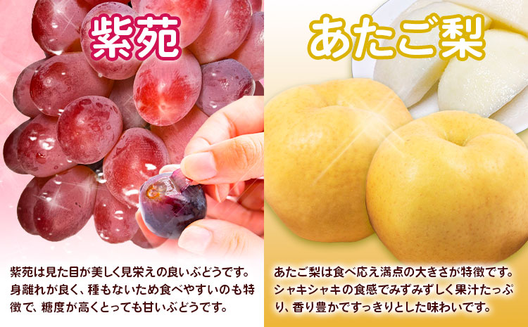 【先行予約】定期便4回 岡山のフルーツ ニューピオーネ 瀬戸ジャイアンツ シャインマスカット 晴王 紫苑 あたご梨 株式会社山博（中本青果）【配送不可地域あり】（北海道・沖縄・離島）｜フルーツ フルーツ フルーツ フルーツ フルーツ フルーツ フルーツ フルーツ フルーツ フルーツ フルーツ フルーツ フルーツ フルーツ フルーツ フルーツ フルーツ フルーツ---124_c1891_9a12c_25_88000_tei---