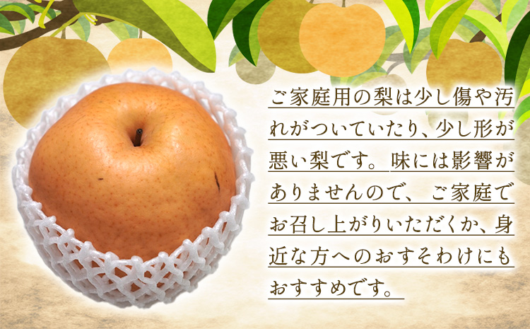 【2026年先行予約】あたご梨 計4kg（3～9玉） 家庭用  箱 石原果樹園 《2026年11月中旬-12月下旬頃より発送予定》 梨 なし 果物 フルーツ くだもの あたご---124_3196_11b12c_25_20000_4kg---