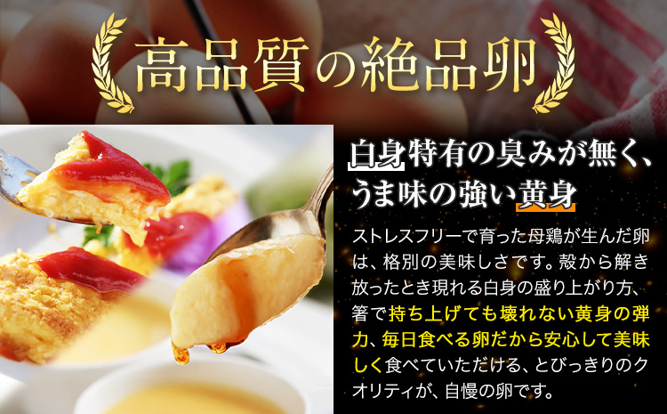 卵 たまご 6ヶ月 定期便 赤玉 ファーストエッグ 60個《お申込み月翌月から出荷予定(土日祝除く)》30個×2セット---124_83tei_23_93000_mo6num1_s---