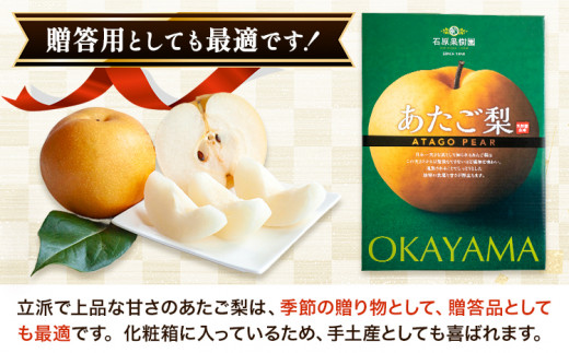 【2026年先行予約】梨 あたご梨  4～9玉（約4kg） 化粧箱 石原果樹園 《2026年11月中旬-12月下旬頃より発送予定》 フルーツ 果物 ギフト---124_3171_11b12c_25_22000_4kg---