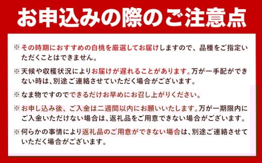 【先行予約】岡山白桃 等級 エース 約1.8kg《7月上旬‐8月下旬頃出荷》株式会社 はちや もも モモ 岡山 国産 フルーツ 果物 岡山県 浅口市 フルーツ モモ 果物 青果 旬 白桃 国産 岡山県産【配送不可地域あり】---124_c2033_7a8c_25_20000_1800ge---