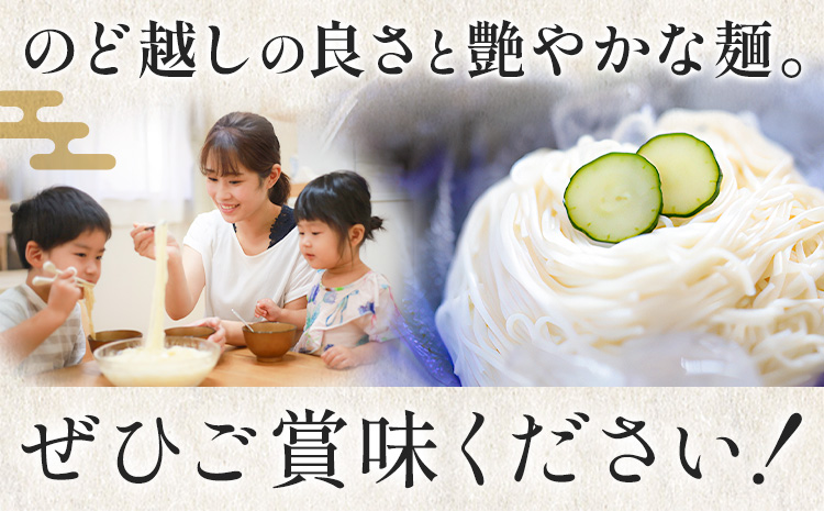 そうめん 素麺 手延べ 手延べそうめん 2kg (50g×5束×8袋) お試し 宮田製麺株式会社《30日以内に出荷予定(土日祝除く)》岡山県 浅口市 送料無料 麺 贈答用 ギフト お取り寄せ お歳暮 乾麺 素麺 麺類---124_1907_30d_25_12000_2kg---