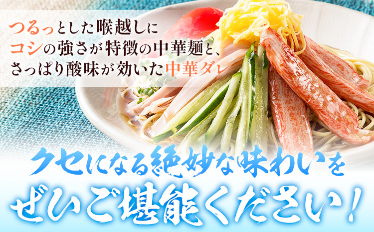 中華麺 冷やし中華 冷麺 細麺 国産 手延べ冷やし中華 タレ付き 1袋300g ( 麺 180g スープ 60g×2 ) 2食入 × 5袋 計10食 奥島屋 株式会社奥島創麺巧房《30日以内に出荷予定(土日祝除く)》岡山県 浅口市 送料無料---124_152_30d_23_13000_s---