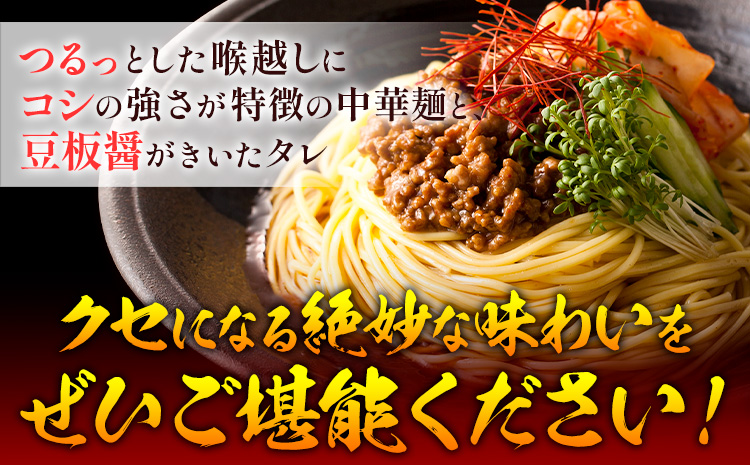 手延べピリ辛中華 タレ付き 1袋300g ( 麺 180g スープ 60g×2 ) 2食入 × 5袋 計10食 奥島屋 株式会社奥島創麺巧房《30日以内に出荷予定(土日祝除く)》岡山県 浅口市 送料無料 中華麺 冷やし中華 冷麺 細麺 豆板醤 ゴマ油---124_153_30d_23_13000_s---