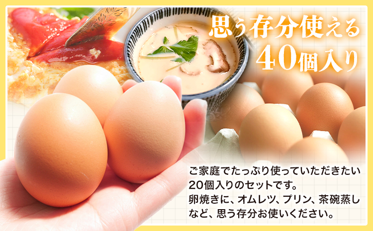 卵 たまご 赤玉 夢の卵 20個入り x 2セット L/LLサイズ《90日以内に出荷予定(土日祝除く)》株式会社めぐみ 岡山県 浅口市 送料無料 大容量 大箱 たっぷり Lサイズ LLサイズ---124_85_90d_23_16000_ss---