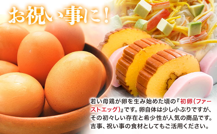 卵 たまご 赤玉 ファーストエッグ 60個《90日以内に出荷予定(土日祝除く)》株式会社めぐみ 岡山県 浅口市  食卓---124_86_90d_23_16500_s---