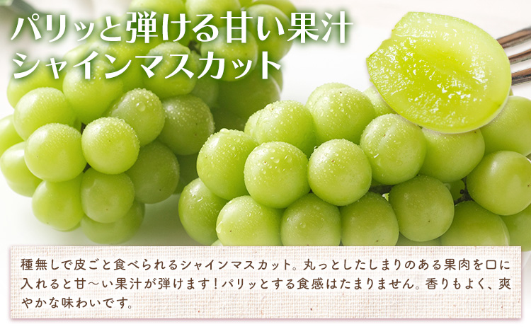 【2026年先行予約】岡山白桃 と シャインマスカット 詰合せ  環山堂株式会社《2026年7月中旬-8月上旬頃出荷》【配送不可地域あり】（北海道・沖縄・離島）---124_c2266_7b8a_25_50000_30---
