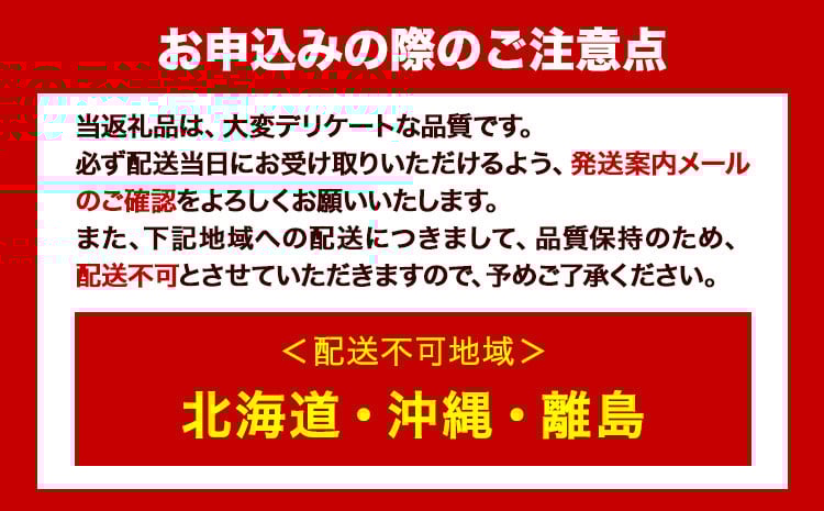 【2026年先行予約受付】シャインマスカット 岡山県産 シャインマスカット 晴王 1房 750g《2026年9月上旬-10月末頃出荷(土日祝除く)》 ハレノフルーツ マスカット 送料無料 岡山県 浅口市 フルーツ 果物 贈り物 ギフト 国産 岡山県産 くだもの 青果物【配送不可地域あり】---124_c1944_9a10m_25_21500_750g---