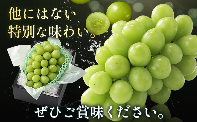 【2026年先行予約】ぶどう シャインマスカット 農家自慢の最高ランク シャインマスカット 1房 約750g 特秀クラス《9月中旬-10月下旬頃出荷(土日祝除く)》 Nini farm マスカット 送料無料 岡山県 浅口市 フルーツ 果物 贈り物 国産 岡山県産 くだもの 果物 青果物---124_c2254_9b10c_25_19000_750g---