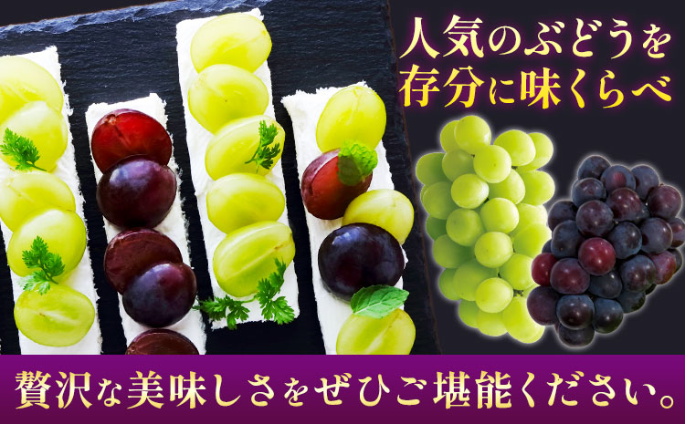 【2026年先行予約】シャインマスカット【晴王】 & ニューピオーネ 500g以上(各1房) 株式会社Myself《2026年9月上旬-10月下旬頃出荷》マスカット 送料無料 岡山県 浅口市 ぶどう フルーツ 果物 贈り物 ギフト---124_c2434_9a10c_13000_1p---