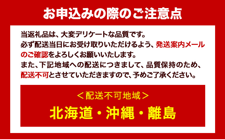 【2026年先行予約受付】シャインマスカット 晴王 1房 650g《2026年9月上旬-10月末頃出荷(土日祝除く)》【配送不可地域あり】（北海道・沖縄・離島）---124_c1942_9a10m_25_19500_650g---