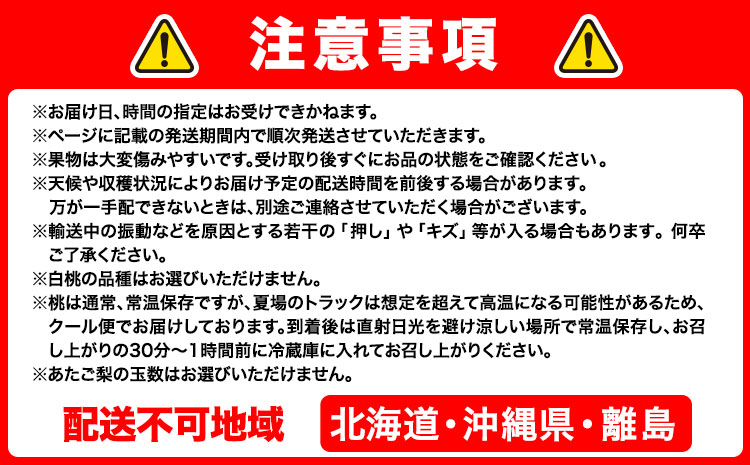 【2026年先行予約】 定期便6回コース  清水白桃 ニューピオーネ 瀬戸ジャイアンツ シャインマスカット 晴王 紫苑 梨 《2026年7月上旬から12月下旬出荷》【配送不可地域あり】（北海道・沖縄・離島）---124_c1860_7a12c_25_183000_tei---
