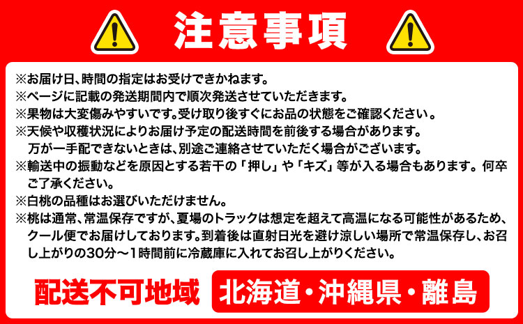【先行予約】岡山の厳選フルーツ 定期便2回コース 岡山 白桃 シャインマスカット 晴王  フルーツ 株式会社山博 《7月上旬から8月下旬出荷》【配送不可地域あり】（北海道・沖縄・離島）---124_c1881tei_7a8c_25_54000_tei---