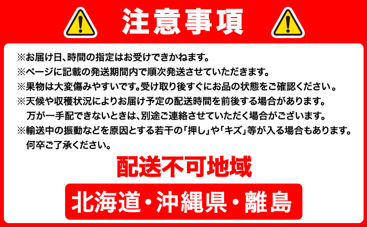 【先行予約】【3ヶ月定期便】 シャインマスカット晴王 2房入り 株式会社山博（中本青果）《8月下旬から10月下旬出荷》【配送不可地域あり】（北海道・沖縄・離島）---124_c1884_8c10c_25_67000_tei---