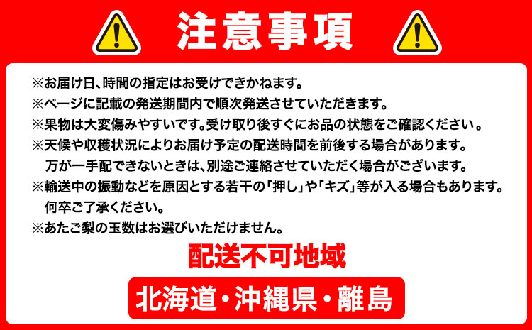 【先行予約】定期便4回 岡山のフルーツ ニューピオーネ 瀬戸ジャイアンツ シャインマスカット 晴王 紫苑 あたご梨 株式会社山博（中本青果）【配送不可地域あり】（北海道・沖縄・離島）｜フルーツ フルーツ フルーツ フルーツ フルーツ フルーツ フルーツ フルーツ フルーツ フルーツ フルーツ フルーツ フルーツ フルーツ フルーツ フルーツ フルーツ フルーツ---124_c1891_9a12c_25_88000_tei---
