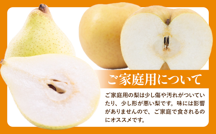 【2026年先行予約】家庭用 梨 詰め合わせ 計4kg あたご梨 2～3玉 鴨梨 3～7玉  石原果樹園 《2026年11月中旬-12月下旬頃より発送予定》梨 果物 ---124_3195_11b12c_25_20000_4kg---