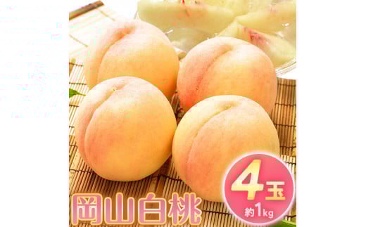 【2026年先行予約】桃 もも 岡山白桃 4玉 約1kg 岡山県産 環山堂株式会社《2026年7月上旬-8月上旬頃出荷》岡山県 浅口市 白桃 果物 フルーツ 送料無料---124_c2261_7a8a_25_15500_30---