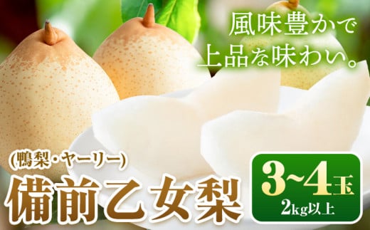 【2026年先行予約】梨 備前乙女梨 3～4玉(2kg以上) 石原果樹園 《2026年11月中旬-12月下旬頃より発送予定》 梨 鴨梨 備前乙女梨 ヤーリー---124_3189_11b12c_25_18500_2kg---