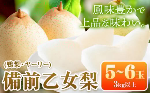 【2026年先行予約】梨 乙女梨 5～6玉(3kg以上) 石原果樹園 《2026年11月中旬-12月下旬頃より発送予定》梨 鴨梨 備前乙女梨 ヤーリー---124_3190_11b12c_25_27000_3kg---