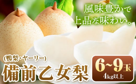 【2026年先行予約】梨 乙女梨 6～9玉 4kg  石原果樹園 《2026年11月中旬-12月下旬頃より発送予定》フルーツ 梨 鴨梨 備前乙女梨 ヤーリー---124_3191_11b12c_25_35000_4kg---