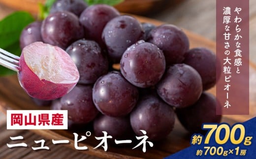 【先行予約】 岡山県産 ニューピオーネ詰合せ 選べる 計 700g 株式会社はちや《6月下旬‐7月下旬頃出荷》岡山県 浅口市 ぶどう 葡萄 フルーツ ギフト 果物 デザート 国産 送料無料【配送不可地域あり】---124_c2020_6c7c_25_17000_700g---