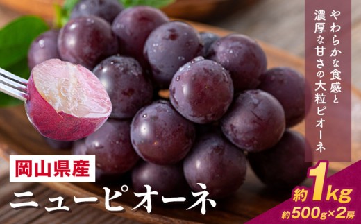 【先行予約】 岡山県産 ニューピオーネ詰合せ 選べる 計 1kg 株式会社はちや《6月下旬‐7月下旬頃出荷》岡山県 浅口市 ぶどう 葡萄 フルーツ ギフト 果物 デザート 国産 送料無料【配送不可地域あり】---124_c2022_6c7c_25_17000_1000g---