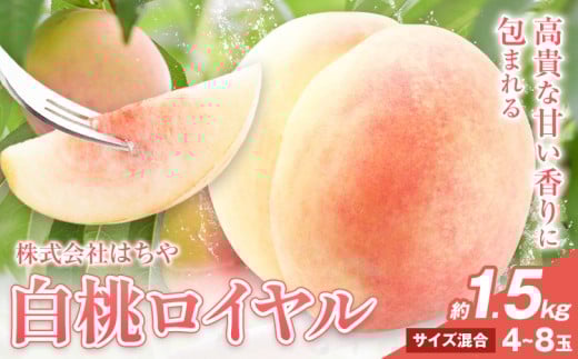 【先行予約】岡山白桃 等級 ロイヤル 約1.5kg《7月上旬‐8月下旬頃出荷》もも モモ 岡山 国産 フルーツ 果物 岡山県 浅口市 株式会社 はちや フルーツ モモ 果物 青果 旬 白桃 国産 岡山県産【配送不可地あり】---124_c2030_7a8c_25_20000_1500gr---