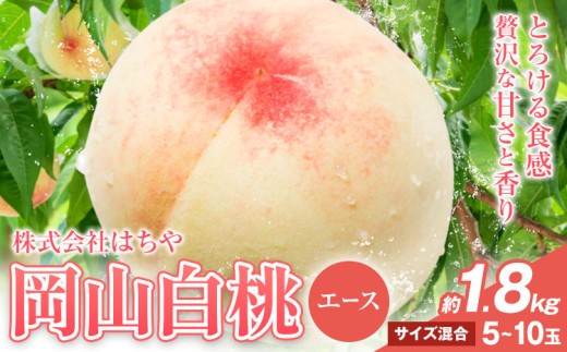 【先行予約】岡山白桃 等級 エース 約1.8kg《7月上旬‐8月下旬頃出荷》株式会社 はちや もも モモ 岡山 国産 フルーツ 果物 岡山県 浅口市 フルーツ モモ 果物 青果 旬 白桃 国産 岡山県産【配送不可地域あり】---124_c2033_7a8c_25_20000_1800ge---