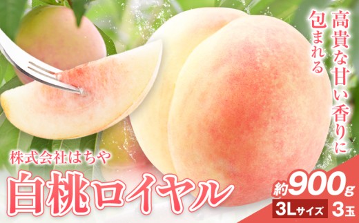 【先行予約】岡山白桃 等級 ロイヤル 約900g《7月上旬‐8月下旬頃出荷》もも モモ 岡山 国産 フルーツ 果物 岡山県 浅口市 株式会社 はちや フルーツ モモ 果物 青果 旬 白桃 国産 岡山県産【配送不可地あり】---124_c2038_7a8c_25_20000_900gr---