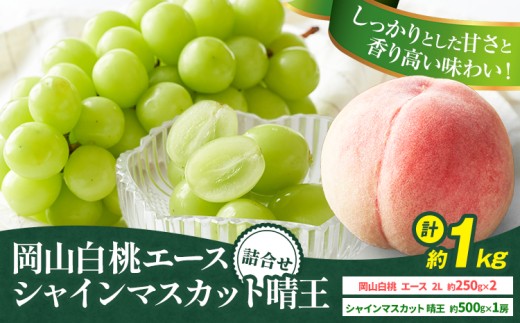 【先行予約】岡山県産 岡山白桃 エース L~ 3Lサイズ シャインマスカット 計 1kg 詰合せ 株式会社 はちや《7月上旬-8月下旬頃出荷》もも 岡山 国産 フルーツ 果物 岡山県 浅口市 フルーツ モモ 果物【配送不可地域あり】---124_c2047_7a8c_25_20500_1kge---