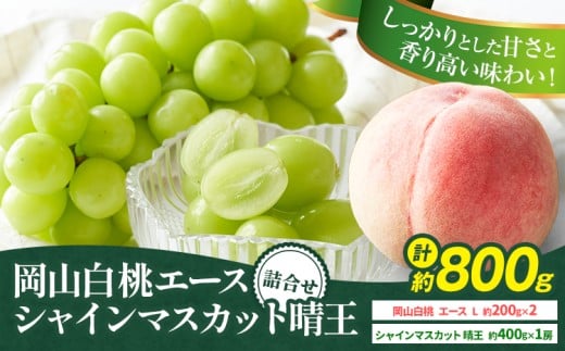 【先行予約】岡山県産 岡山白桃 エース L~ 3Lサイズ シャインマスカット 計 800g 詰合せ 株式会社 はちや《7月上旬-8月下旬頃出荷》もも 岡山 国産 フルーツ 果物 岡山県 浅口市 フルーツ モモ 果物【配送不可地域あり】---124_c2049_7a8c_25_19500_800ge---