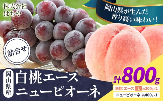 【先行予約】岡山県産 岡山白桃 エース ニューピオーネ 計 800g 詰合せ 株式会社 はちや《7月上旬‐8月下旬頃出荷》もも 岡山 国産 フルーツ 果物 岡山県 浅口市 フルーツ モモ 果物【配送不可地域あり】---124_c2055_7a8c_25_17500_800gep---