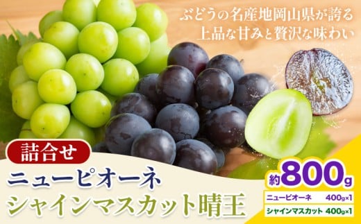 【先行予約】 岡山県産 シャインマスカット「晴王」とニューピオーネ 計 800g 株式会社はちや《6月下旬～7月下旬頃出荷》岡山県 浅口市 ぶどう 葡萄 フルーツ ギフト 果物 デザート 国産【配送不可地域あり】---124_c2056_6c7c_25_21500_800g---