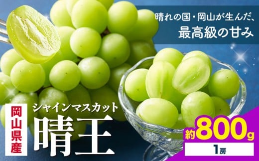 【先行予約】 岡山県産 シャインマスカット 晴王 800g 1房 株式会社はちや《7月上旬‐8月下旬頃出荷》岡山県 浅口市 ぶどう 葡萄 フルーツ ギフト 果物 デザート 国産【配送不可地域あり】---124_c2061_7a8c_25_21500_800g---