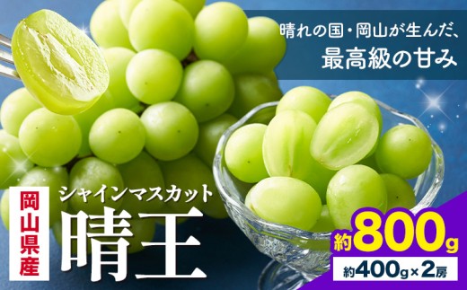 【先行予約】 岡山県産 シャインマスカット 晴王 計 800g 2房 株式会社はちや《7月上旬‐8月下旬頃出荷》岡山県 浅口市 ぶどう 葡萄 フルーツ ギフト 果物 デザート 国産【配送不可地域あり】---124_c2062_7a8c_25_21500_800g2---