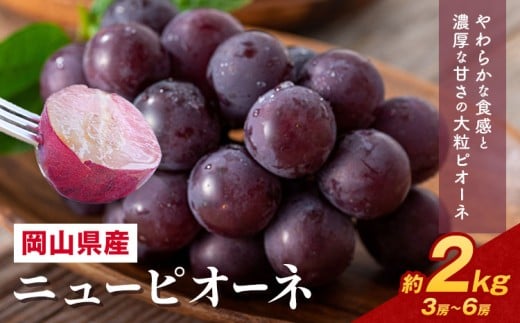 【先行予約】 岡山県産 ニューピオーネ詰合せ 選べる 計 2kg 株式会社はちや《8月下旬‐9月下旬頃出荷》岡山県 浅口市 ぶどう 葡萄 フルーツ ギフト 果物 デザート 国産 送料無料【配送不可地域あり】---124_c2095_8c9c_25_20000_2kg---