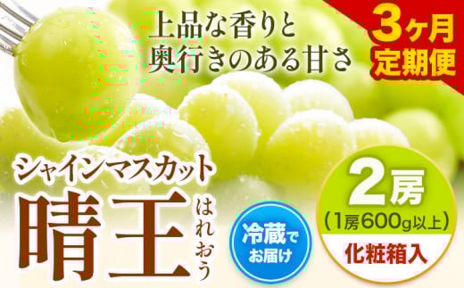 【先行予約】【3ヶ月定期便】 シャインマスカット晴王 2房入り 株式会社山博（中本青果）《8月下旬から10月下旬出荷》【配送不可地域あり】（北海道・沖縄・離島）---124_c1884_8c10c_25_67000_tei---