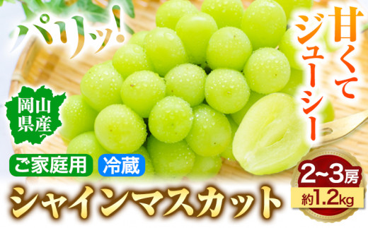 岡山県産 シャインマスカット (家庭用) 2～3房(約1.2kg)《9月中旬-11月中旬頃出荷(土日祝除く)》テレビせとうち株式会社 冷蔵 果物 ブドウ 送料無料 岡山県 浅口市 シャインマスカット---124_c2522_9b11b_25_16500_1200g---|シャインマスカットシャインマスカットシャインマスカット