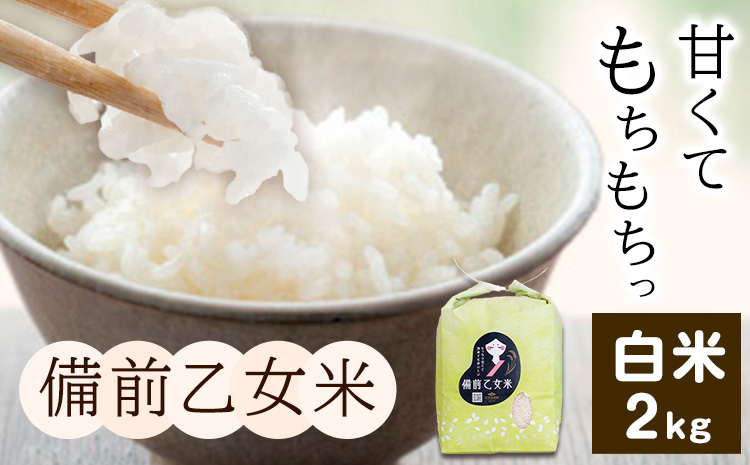 米 こめ コメ 備前乙女米 白米 2kg 石原果樹園《30日以内に出荷予定（土日祝除く）》岡山県 浅口市 ご飯 お米 国産 岡山県産 送料無料---124_3213_30d_25_10500_2h---