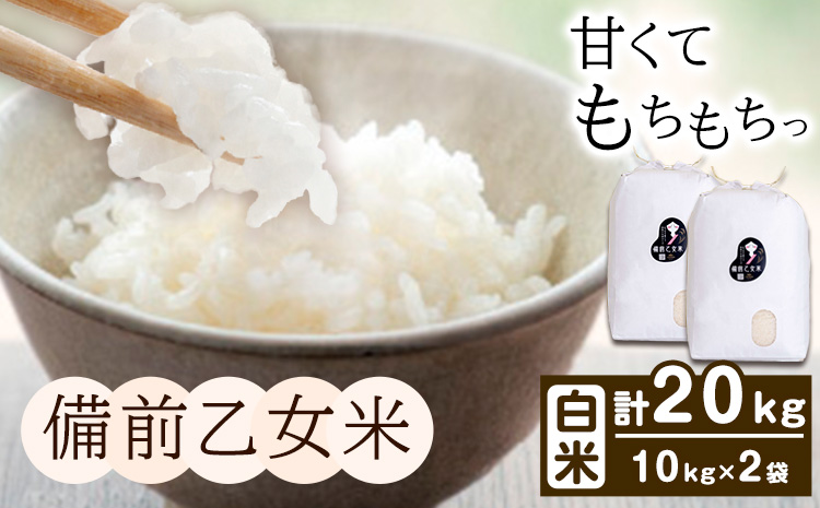 米 こめ コメ 備前乙女米 白米 20kg 石原果樹園《30日以内に出荷予定（土日祝除く）》岡山県 浅口市 ご飯 お米 国産 岡山県産 送料無料---124_3720_30d_25_48500_10h---